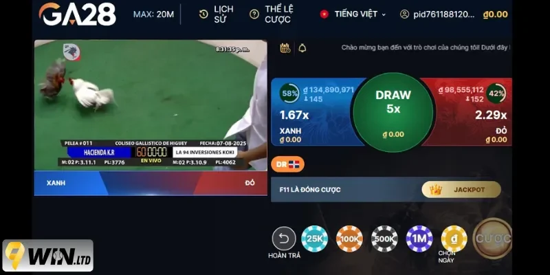 Công nghệ livestream 4K