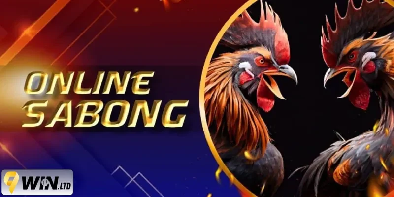 Nắm trọn luật chơi trước khi trải nghiệm