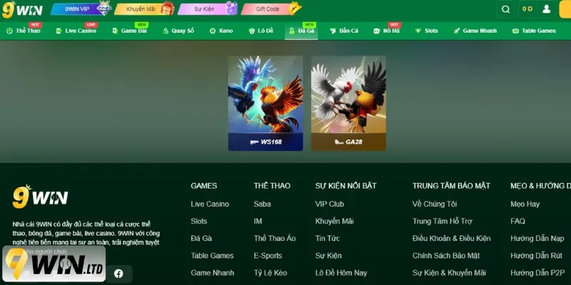 Trình tự đơn giản để thưởng thức đá gà live